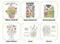 Designs