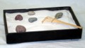 Zen Garden  8